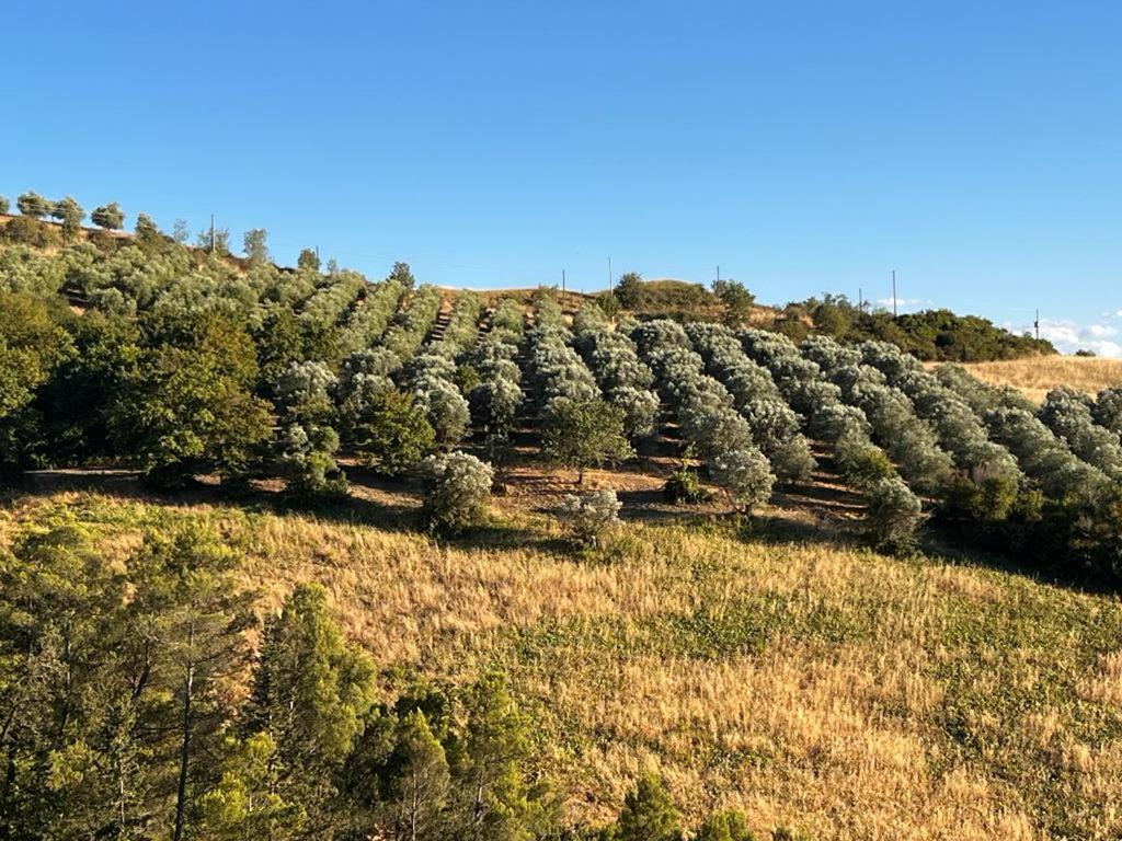 Appartamento Antica Colombaia Volterra Esterno foto